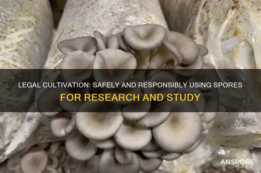 how to use spores legally