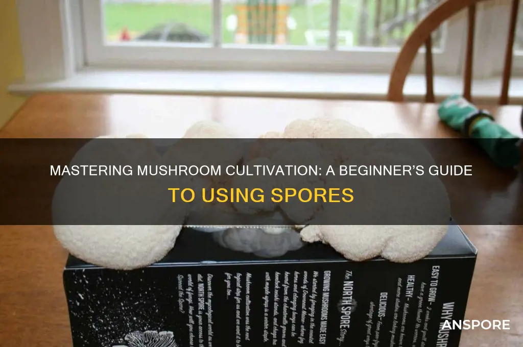 how to use spores to grow mushrooms