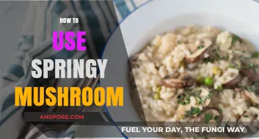 Creative Ways to Use Springy Mushrooms in Your Daily Cooking
