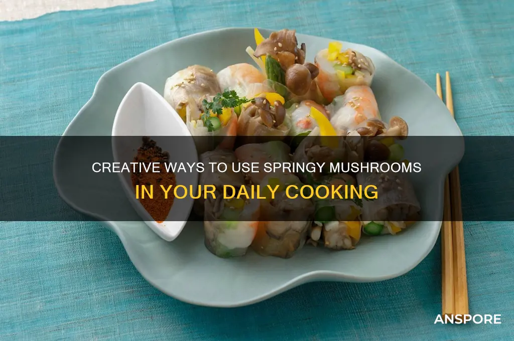 how to use springy mushroom