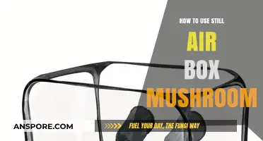 Mastering Mushroom Cultivation: A Guide to Using Still Air Boxes