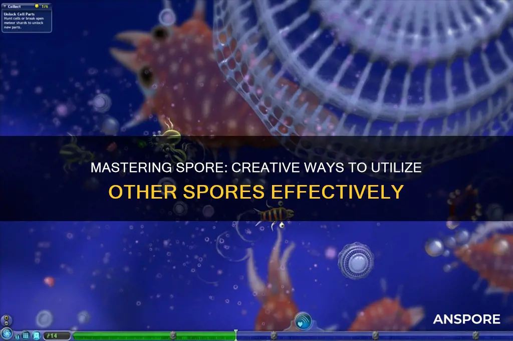 how to use use other spores in spore