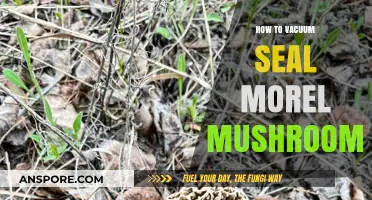Vacuum Sealing Morel Mushrooms: A Step-by-Step Preservation Guide