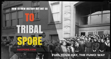 Exploring History Without Tribal Spore: A Comprehensive Guide to Safe Viewing