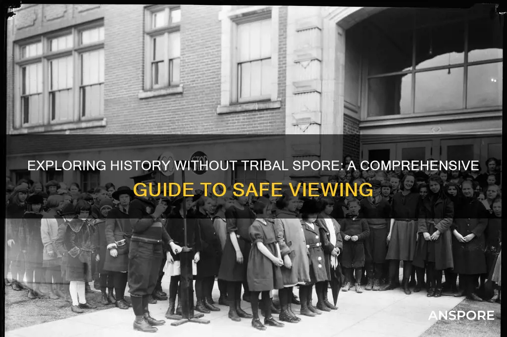 how to view history but not go to tribal spore