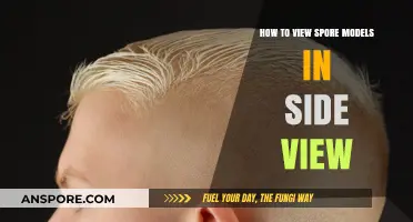 Mastering Spore Model Side View: A Step-by-Step Guide