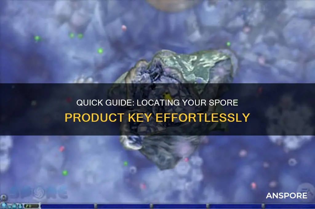 how to view your spore product key