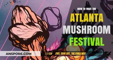 Exploring Atlanta's Mushroom Festival: A Beginner's Guide to Attending