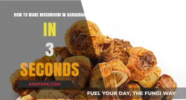 Instantly Wake Mushrooms in Agrabah: 3-Second Secret Technique Revealed