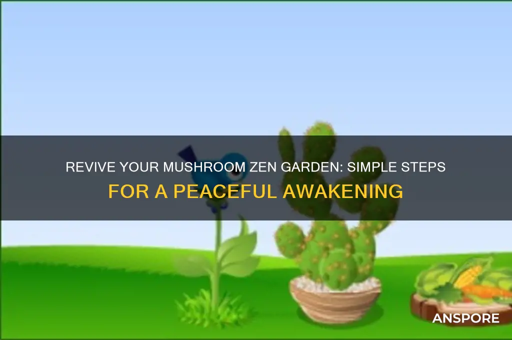 how to wake up mushroom zen garden
