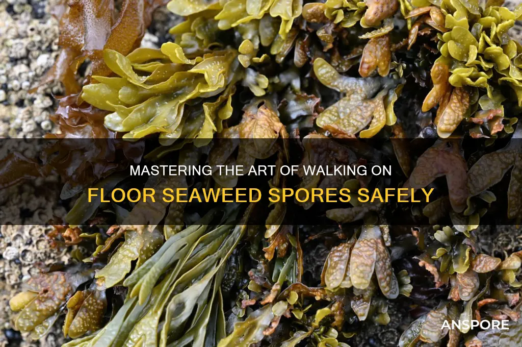 how to walk on the floor seaweed spore