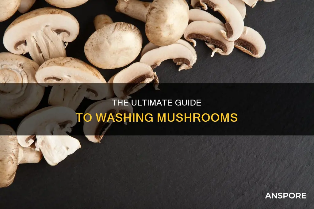 how to was mushroom