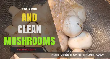 Mastering Mushroom Care: Effective Washing and Cleaning Techniques Revealed