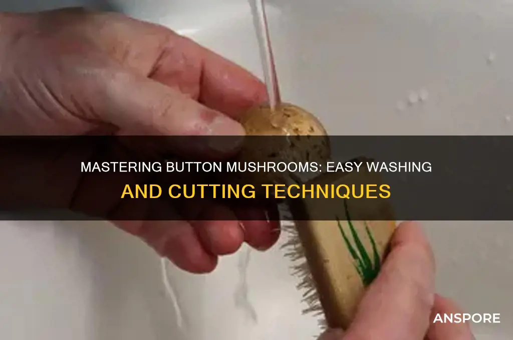 how to wash and cut button mushrooms