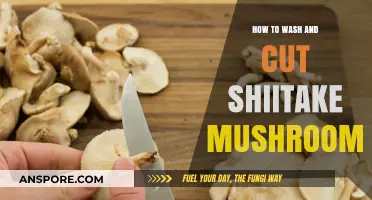 Mastering Shiitake Prep: Easy Washing and Cutting Techniques