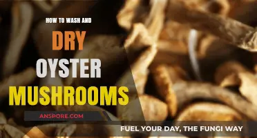 Mastering Oyster Mushroom Care: Washing and Drying Techniques Revealed