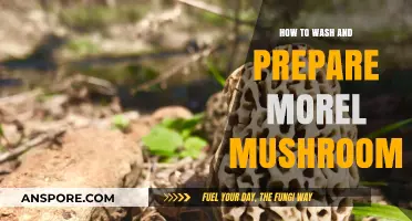 Mastering Morel Mushrooms: A Step-by-Step Guide to Washing and Prepping