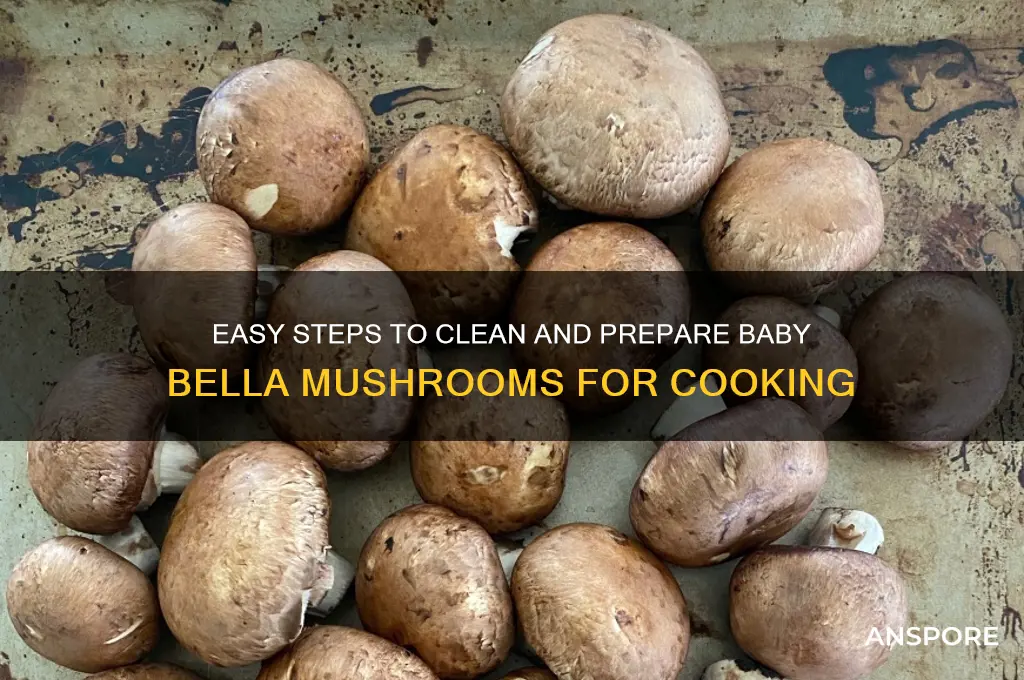 how to wash baby bella mushroom