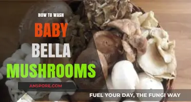 Easy Guide to Washing Baby Bella Mushrooms for Freshness and Flavor