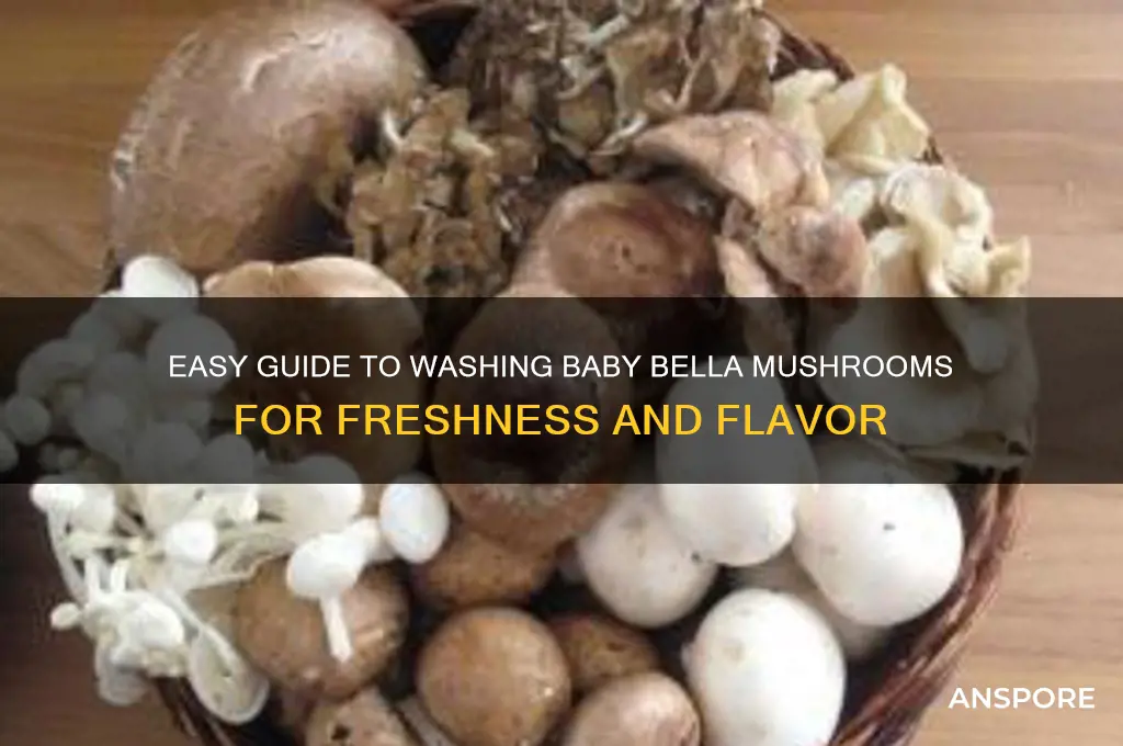 how to wash baby bella mushrooms