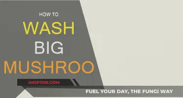 Cleaning Big Mushrooms: A Step-by-Step Guide