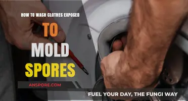 Effective Mold Removal: Washing Clothes Exposed to Mold Spores Safely