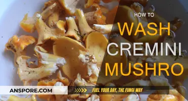 The Best Way to Wash Cremini Mushrooms