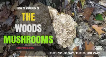 Properly Cleaning Hen of the Woods Mushrooms: A Step-by-Step Guide