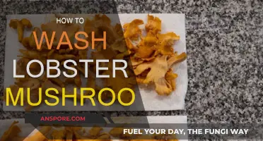 The Ultimate Guide to Cleaning Lobster Mushrooms
