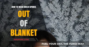 Effective Methods to Wash Mold Spores Out of Your Blanket
