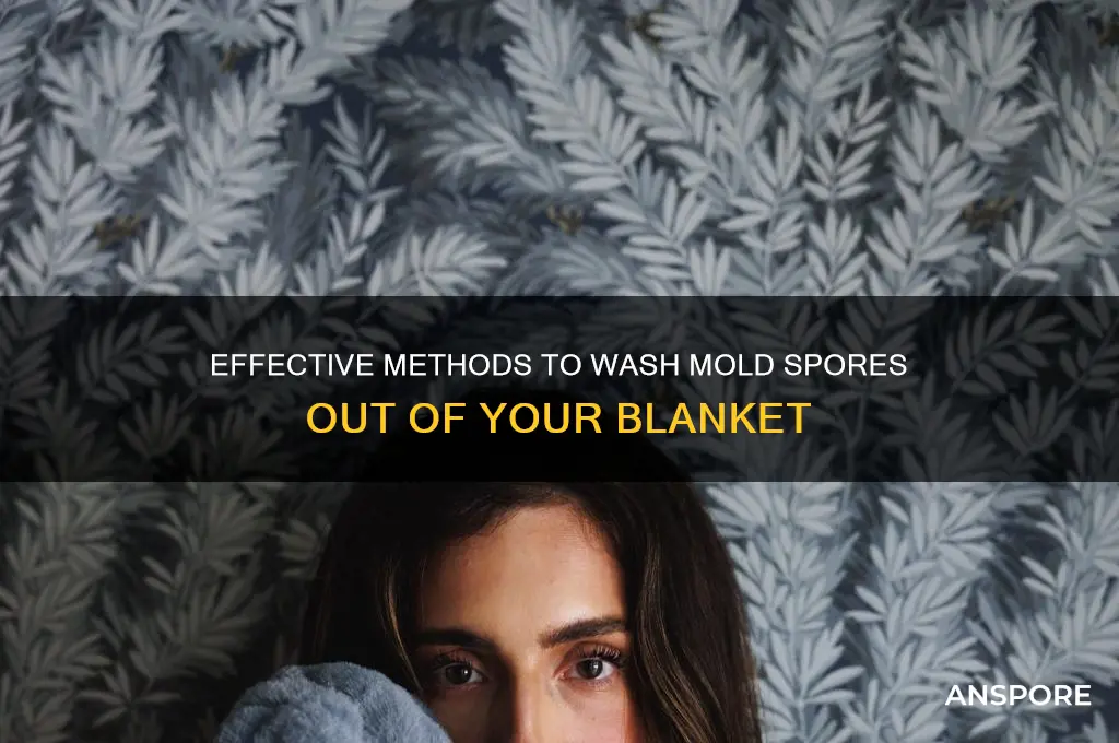 how to wash mold spores out of blanket