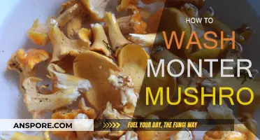 Cleaning Monterey Mushrooms: A Step-by-Step Guide