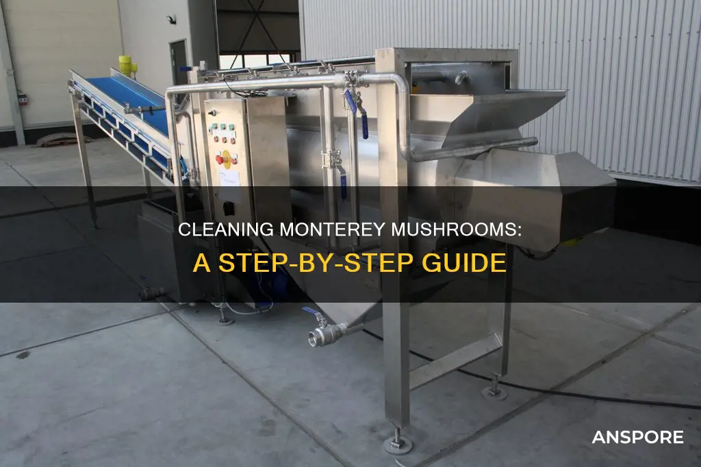 how to wash monterey mushrooms
