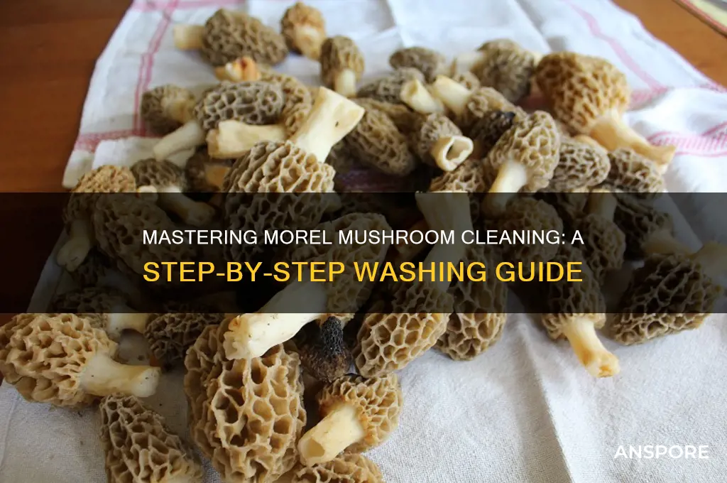 how to wash morel mushrooms