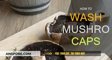 Cleaning Mushroom Caps: A Step-by-Step Guide