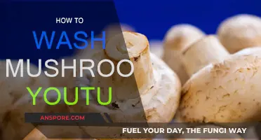 The Ultimate Guide to Washing Mushrooms