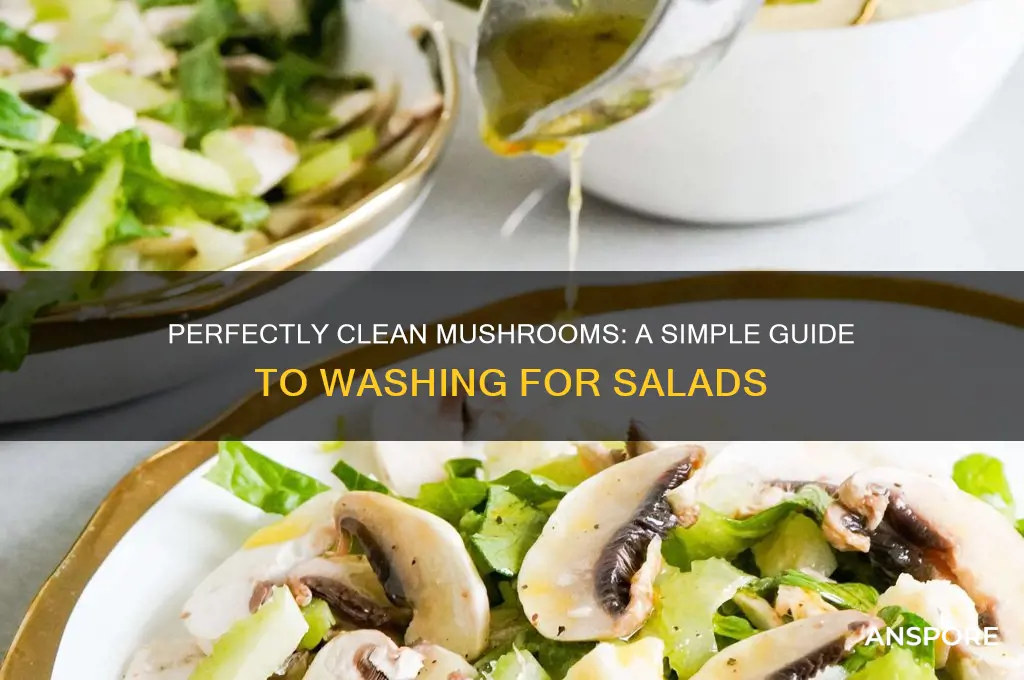 how to wash mushrooms for salad