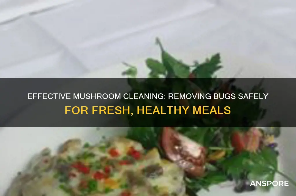 how to wash mushrooms from bugs