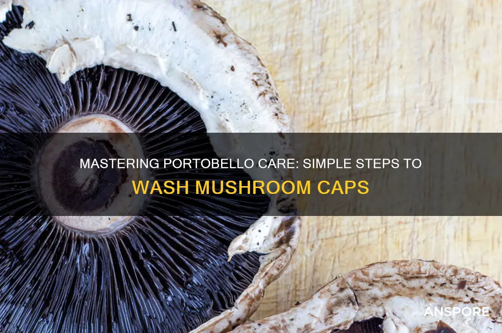 how to wash portabello mushroom caps