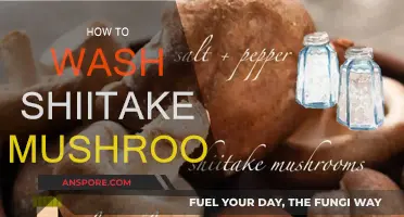 The Ultimate Guide to Washing Shiitake Mushrooms