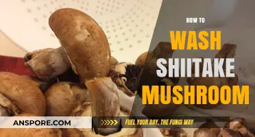 The Right Way to Wash Shiitake Mushrooms