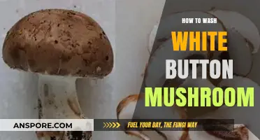 Properly Cleaning White Button Mushrooms: A Simple Step-by-Step Guide