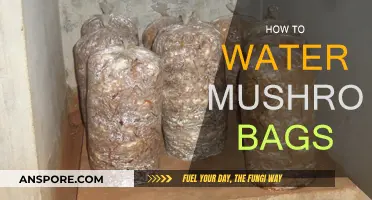 The Ultimate Guide to Watering Mushroom Bags