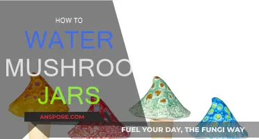 Watering Mushroom Jars: A Step-by-Step Guide