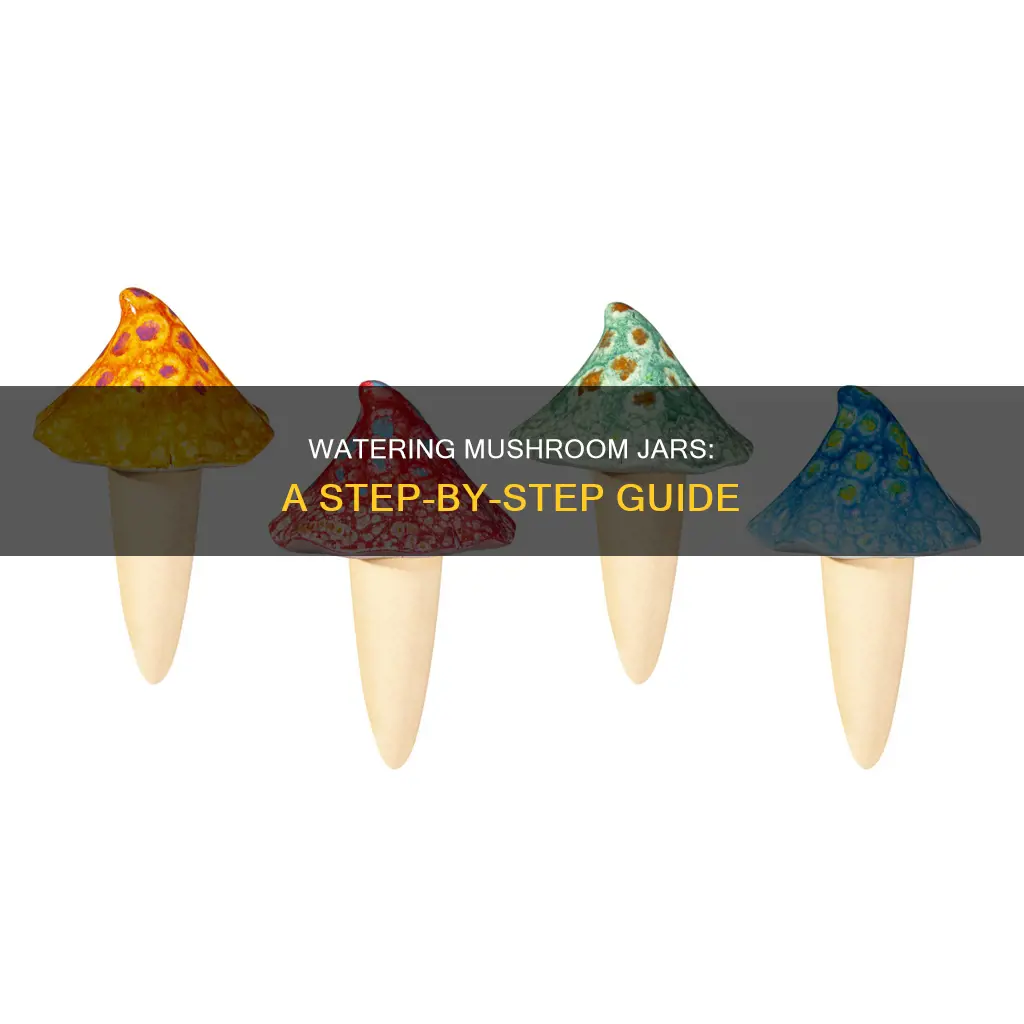 how to water mushroom jars