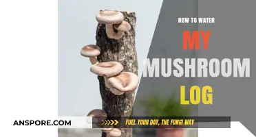 Mastering Mushroom Log Hydration: Essential Tips for Optimal Growth