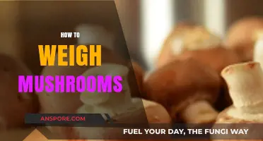Weighing Mushrooms: A Step-by-Step Guide