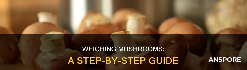 how to weigh mushrooms