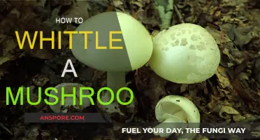 Carving a Mushroom: Easy Whittling for Beginners