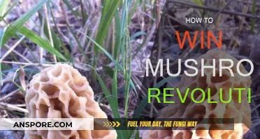 Strategies to Win Mushroom Revolution: A Guide